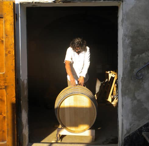 Stefano_Amerighi_Winzer_Naturwein_Italien