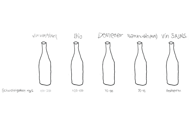Naturwein_Schwefelgehalt
