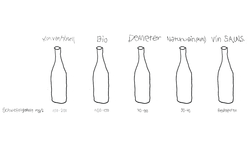 Naturwein_Schwefelgehalt