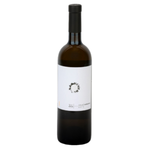 Paolo Vodopivec - Solo MM11