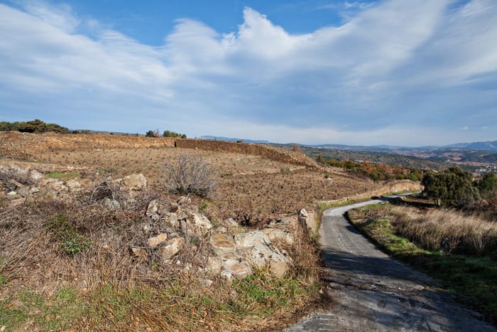 Mauer um Weingarten = “Clos”. Auf dem Busch in der Mitte des Bildes hatte damals ein Rotkehlchen gesessen und Cyril zum Namen inspiriert.