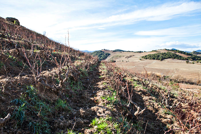 Weingut „Clos du Rouge Gorge“